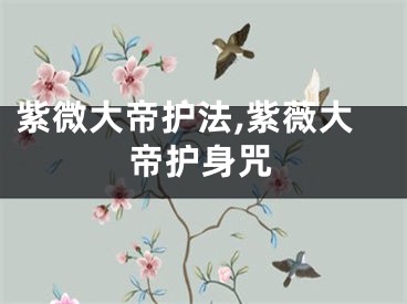 紫微大帝护法,紫薇大帝护身咒