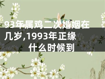 93年属鸡二次婚姻在几岁,1993年正缘什么时候到