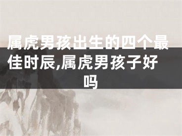 属虎男孩出生的四个最佳时辰,属虎男孩子好吗