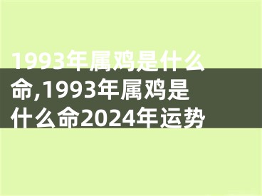 1993年属鸡是什么命,1993年属鸡是什么命2024年运势