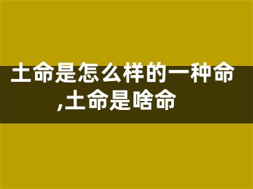 土命是怎么样的一种命,土命是啥命