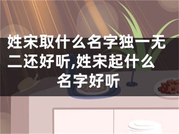姓宋取什么名字独一无二还好听,姓宋起什么名字好听