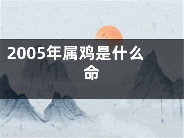 2005年属鸡是什么命