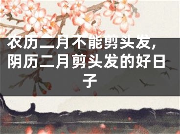 农历二月不能剪头发,阴历二月剪头发的好日子