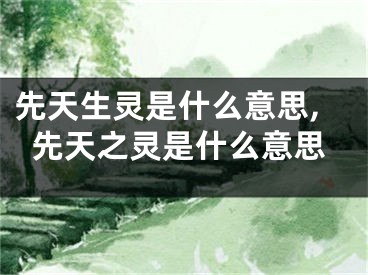 先天生灵是什么意思,先天之灵是什么意思