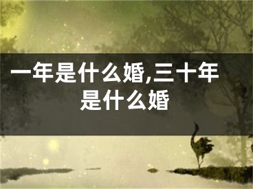 一年是什么婚,三十年是什么婚