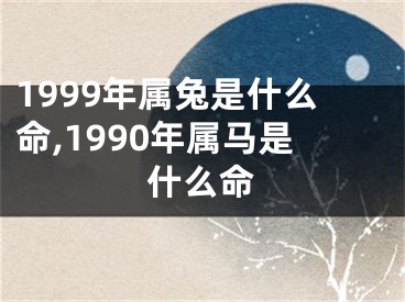 1999年属兔是什么命,1990年属马是什么命