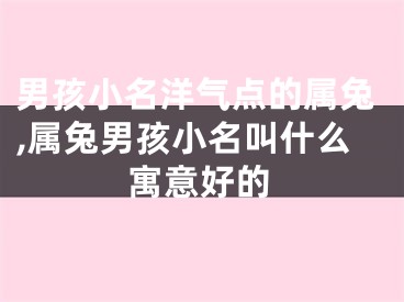 男孩小名洋气点的属兔,属兔男孩小名叫什么寓意好的