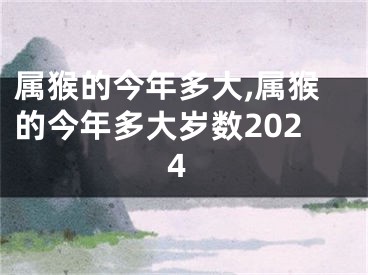 属猴的今年多大,属猴的今年多大岁数2024