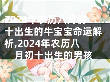 2024年农历八月初十出生的牛宝宝命运解析,2024年农历八月初十出生的男孩