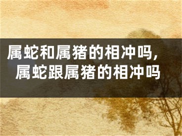 属蛇和属猪的相冲吗,属蛇跟属猪的相冲吗
