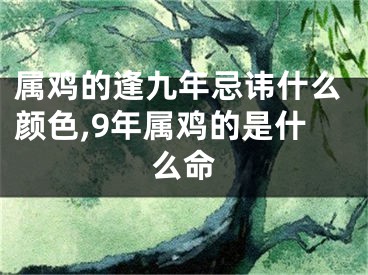 属鸡的逢九年忌讳什么颜色,9年属鸡的是什么命
