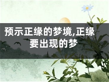 预示正缘的梦境,正缘要出现的梦