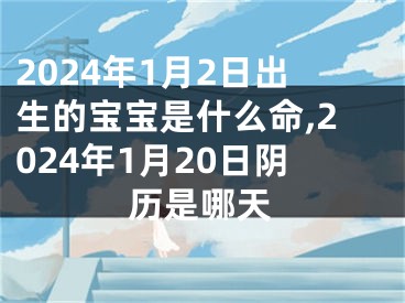 2024年1月2日出生的宝宝是什么命,2024年1月20日阴历是哪天