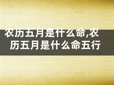 农历五月是什么命,农历五月是什么命五行