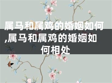 属马和属鸡的婚姻如何,属马和属鸡的婚姻如何相处