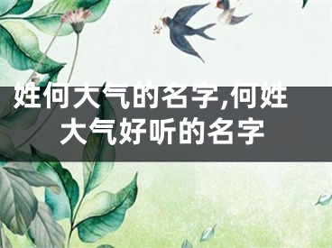 姓何大气的名字,何姓大气好听的名字