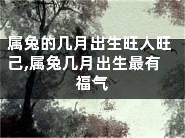 属兔的几月出生旺人旺己,属兔几月出生最有福气