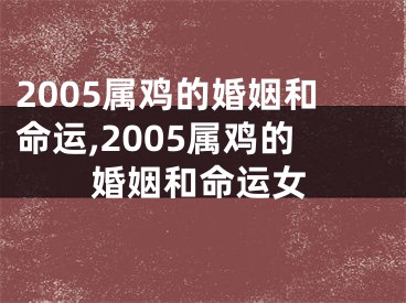 2005属鸡的婚姻和命运,2005属鸡的婚姻和命运女