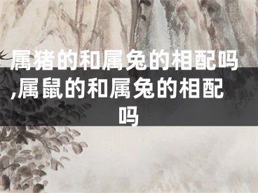 属猪的和属兔的相配吗,属鼠的和属兔的相配吗