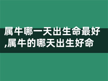 属牛哪一天出生命最好,属牛的哪天出生好命