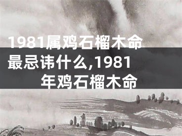 1981属鸡石榴木命最忌讳什么,1981年鸡石榴木命