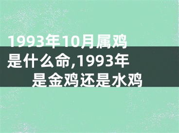 1993年10月属鸡是什么命,1993年是金鸡还是水鸡