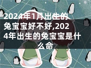 2024年1月出生的兔宝宝好不好,2024年出生的兔宝宝是什么命