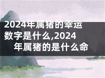 2024年属猪的幸运数字是什么,2024年属猪的是什么命