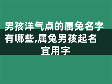 男孩洋气点的属兔名字有哪些,属兔男孩起名宜用字