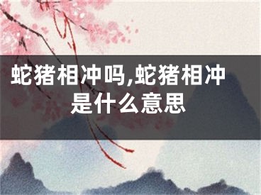蛇猪相冲吗,蛇猪相冲是什么意思