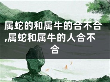 属蛇的和属牛的合不合,属蛇和属牛的人合不合