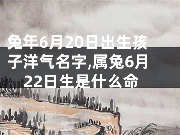 兔年6月20日出生孩子洋气名字,属兔6月22日生是什么命