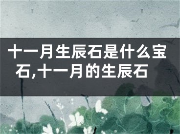 十一月生辰石是什么宝石,十一月的生辰石
