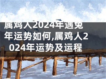 属鸡人2024年遇兔年运势如何,属鸡人2024年运势及运程