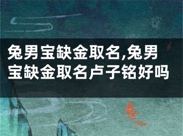 兔男宝缺金取名,兔男宝缺金取名卢子铭好吗