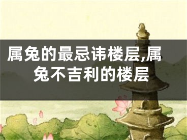 属兔的最忌讳楼层,属兔不吉利的楼层