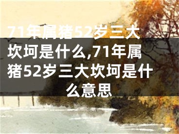 71年属猪52岁三大坎坷是什么,71年属猪52岁三大坎坷是什么意思