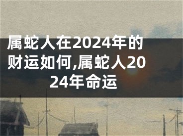 属蛇人在2024年的财运如何,属蛇人2024年命运
