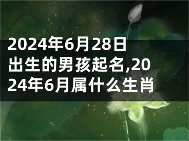 2024年6月28日出生的男孩起名,2024年6月属什么生肖