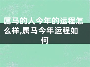 属马的人今年的运程怎么样,属马今年运程如何