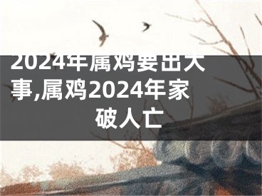 2024年属鸡要出大事,属鸡2024年家破人亡