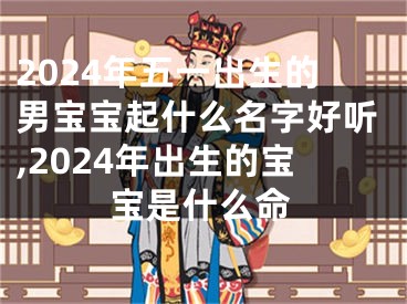 2024年五一出生的男宝宝起什么名字好听,2024年出生的宝宝是什么命