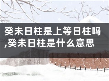 癸未日柱是上等日柱吗,癸未日柱是什么意思