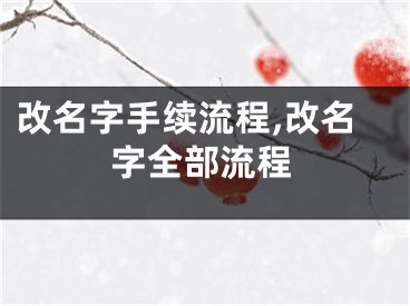 改名字手续流程,改名字全部流程