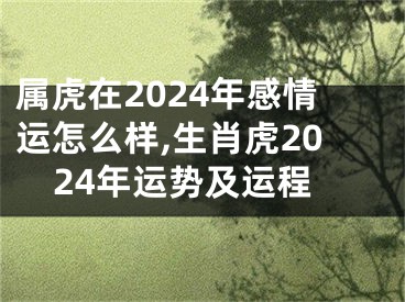 属虎在2024年感情运怎么样,生肖虎2024年运势及运程