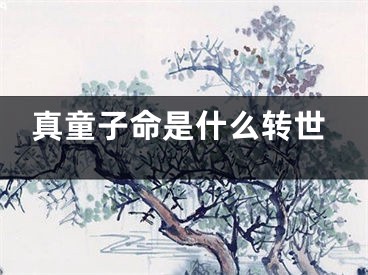 真童子命是什么转世