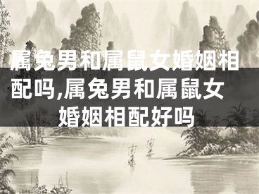 属兔男和属鼠女婚姻相配吗,属兔男和属鼠女婚姻相配好吗