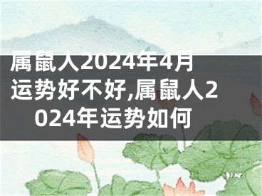 属鼠人2024年4月运势好不好,属鼠人2024年运势如何