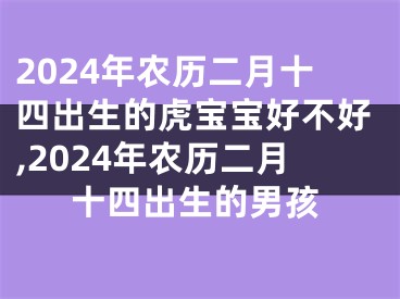 2024年农历二月十四出生的虎宝宝好不好,2024年农历二月十四出生的男孩